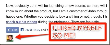 Thinking Bigger About Your Online Business %007C David Risley dot com