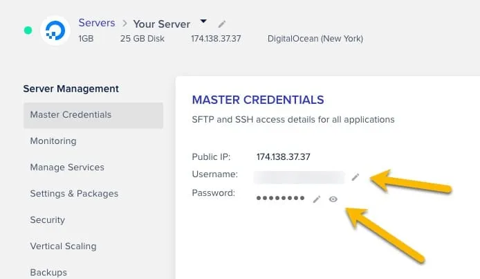 cloudways-master-credentials