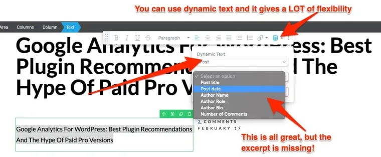 theme-builder-dynamic-text-no-excerpt