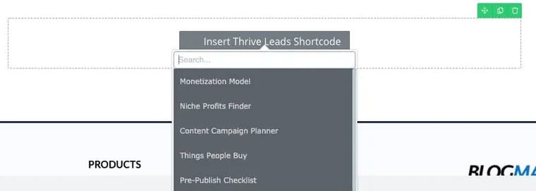 thrive-architect-leads
