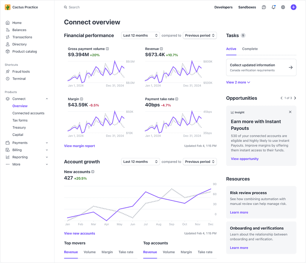 The Connect Overview screen that the platform owner (the plugin developer) has in Stripe